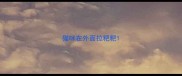 猫咪在外面拉粑粑