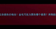 拉布拉多颜色价格全金毛巧克力黑色哪个最贵养狗前必看