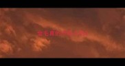 金毛真的不咬人吗