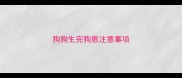狗狗生完狗崽注意事项