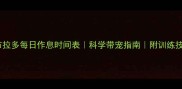拉布拉多每日作息时间表科学带宠指南附训练技巧