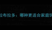 边境牧羊犬vs拉布拉多哪种更适合家庭饲养深度对比