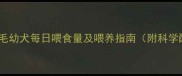 四个月金毛幼犬每日喂食量及喂养指南附科学配比表