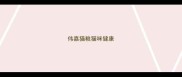 伟嘉猫粮猫咪健康