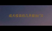 成犬疫苗后几天能出门