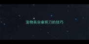 宠物美容拿剪刀的技巧