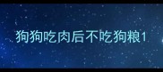 狗狗吃肉后不吃狗粮
