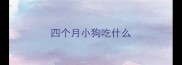 四个月小狗吃什么
