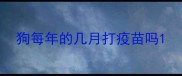 狗每年的几月打疫苗吗