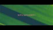 如何让金毛去厕所