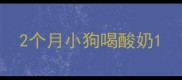 2个月小狗喝酸奶