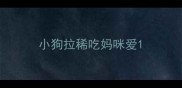 小狗拉稀吃妈咪爱