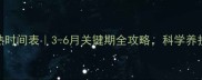 金毛犬性成熟时间表3-6月关键期全攻略科学养护避免走弯路