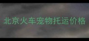 北京火车宠物托运价格