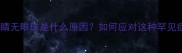 边牧眼睛无眼珠是什么原因如何应对这种罕见症状