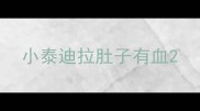 小泰迪拉肚子有血