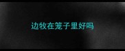 边牧在笼子里好吗
