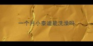 一个月小泰迪能洗澡吗