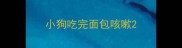 小狗吃完面包咳嗽
