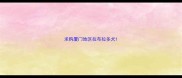 求购厦门地区拉布拉多犬