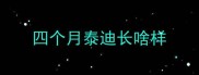 四个月泰迪长啥样