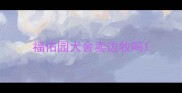 福佑园犬舍卖边牧吗