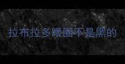 拉布拉多眼圈不是黑的