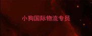 小狗国际物流专员