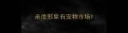 承德那里有宠物市场