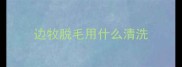 边牧脱毛用什么清洗