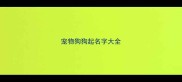 宠物狗狗起名字大全