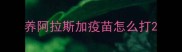 养阿拉斯加疫苗怎么打