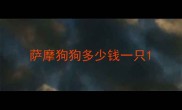萨摩狗狗多少钱一只