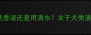 科学养护指南拉布拉多洗香波还是用清水关于犬类清洁的8大真相与选购攻略