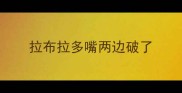 拉布拉多嘴两边破了