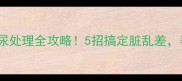 宠物便便尿尿处理全攻略5招搞定脏乱差养宠人必看