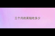 三个月的英短吃多少