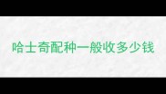 哈士奇配种一般收多少钱