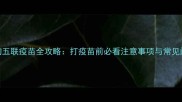 狗狗五联疫苗全攻略打疫苗前必看注意事项与常见问题