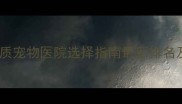 天津优质宠物医院选择指南最新排名及服务