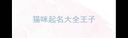 猫咪起名大全王子