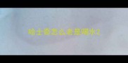 哈士奇怎么老是喝水
