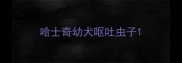哈士奇幼犬呕吐虫子