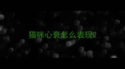 猫咪心衰怎么表现