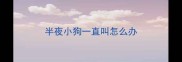 半夜小狗一直叫怎么办