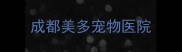 成都美多宠物医院
