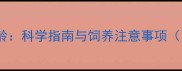 狼狗最佳配种年龄科学指南与饲养注意事项附配种时间表