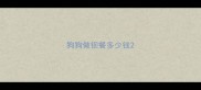 狗狗做钡餐多少钱