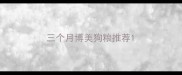 三个月博美狗粮推荐