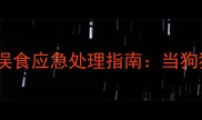 巧克力对犬类的毒性机制及误食应急处理指南当狗狗误食巧克力后该怎么办